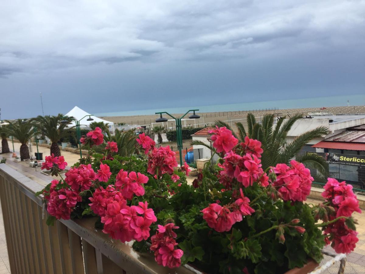 مارغريتا دي سافويا Margheritamare المظهر الخارجي الصورة